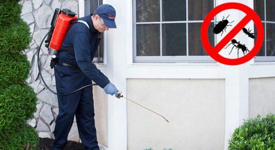 Karahallı Uçan Haşere İlaçlama böcek ilaçlama ve haşere kontrolü — ilaclama-tr.com